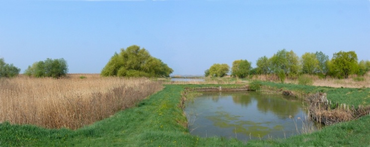 Hortobágyi-halastó programok 2026