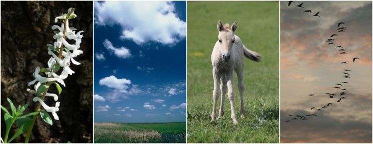 Hortobágyi fotózás 2026 - Fotótúrák a Hortobágyi Nemzeti Park szervezésében