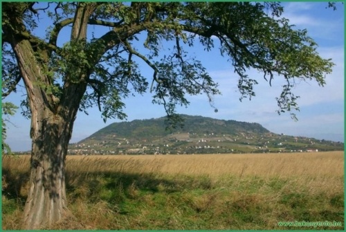 Somló-hegyi kirándulóerdő, túrák a Somló várához