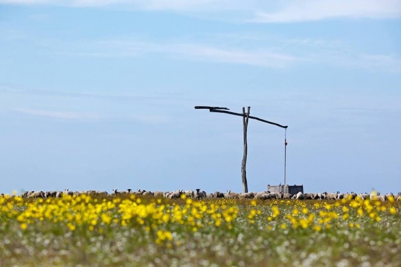 Gyalogos vezetett túrák a Hortobágyi Nemzeti Parkban 2026