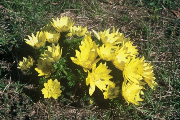 Elhagyott katonai területek, bunker túra a Duna-Ipoly Nemzeti Parkban