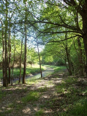 Tarpai Szőlőhegy túra. Vezetett túra a tanösvényen