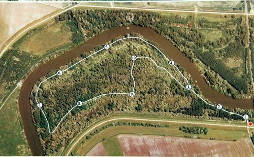 Halásztelki tanösvény Szarvas közelében, a Körös-Maros Nemzeti Parkban