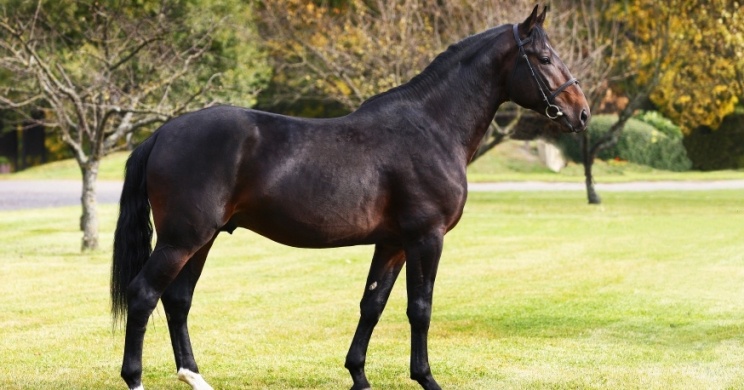 Lovasoktatás a Hortobágyon