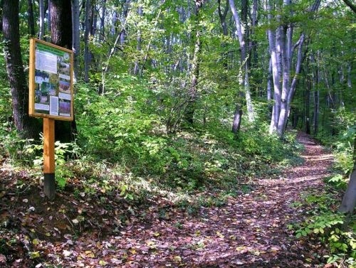 Duna-Dráva Nemzeti Park programok gyerekeknek 2026