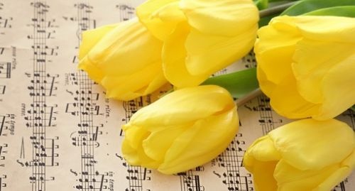 Templomi koncertek, előadások, vetítések 2026 - Online jegyvásárlás