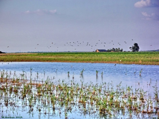 Homokhátság programok 2026