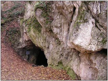 Túra az Odvaskői-barlanghoz a Magas-Bakonyban