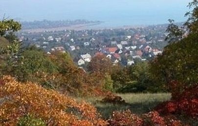 Séta a balatonfüredi erdőben, a Balaton-felvidéki Nemzeti Park természetvédelmi területén