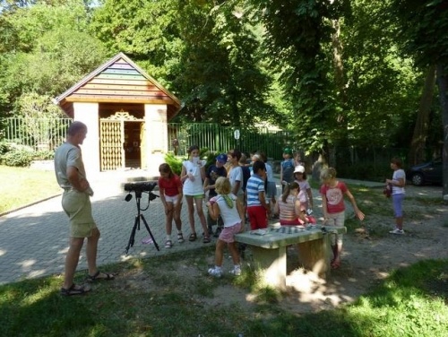 Pécsi Tettye Oktatási Központ programok 2026