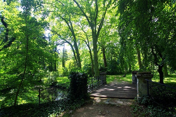 Alcsúti Arborétum séták, kirándulás az egykori főhercegi parkban