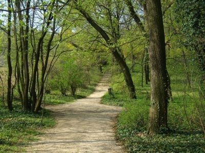 Pannonhalmi Apátság Arborétum, séta az apátság kertjében