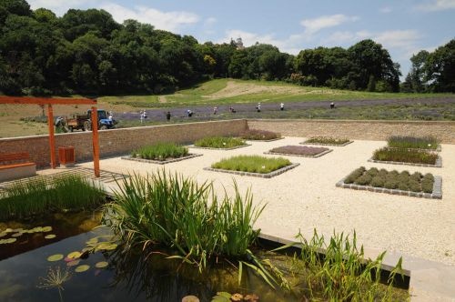 Pannonhalmi Gyógynövénykert programok 2026