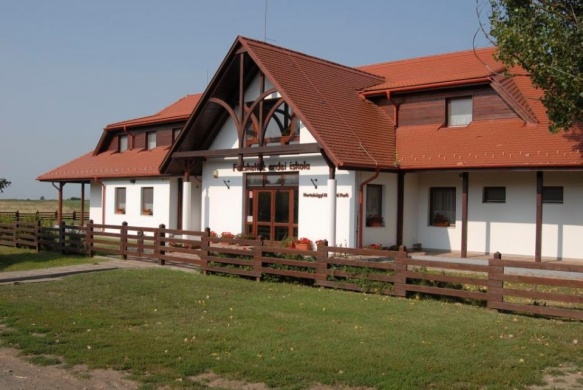 Fecskeház Erdei Iskola programok