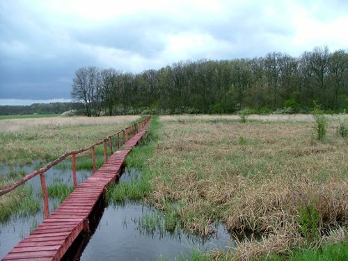 Kisvátyoni tanösvény, ökotúra Zsadányban a Körös-Maros Nemzeti Parkban