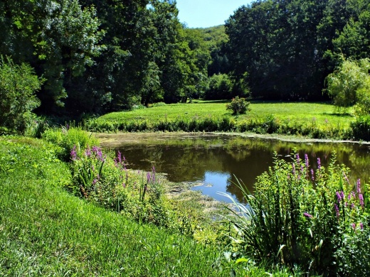 Budafai Arborétum látogatás 2026