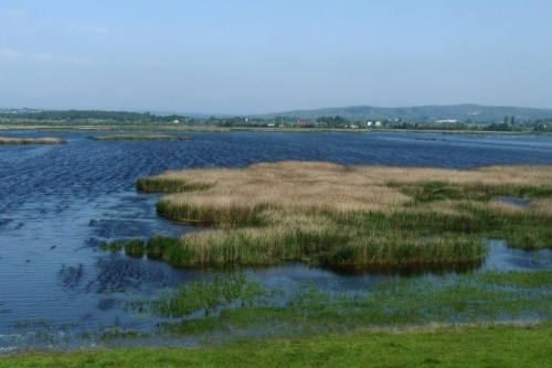 Dinnyési-fertő programok 2026