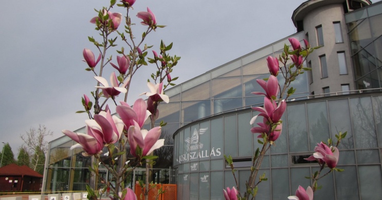 Kisújszállási fürdő programok 2026 - Események, rendezvények a Kumánia Fürdőben