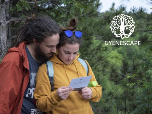 Gyenesdiási Kalandjáték - GYENESCAPE