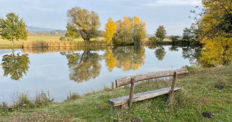 Horgász nyaralás Móron a Hétkúti Wellness Hotelben