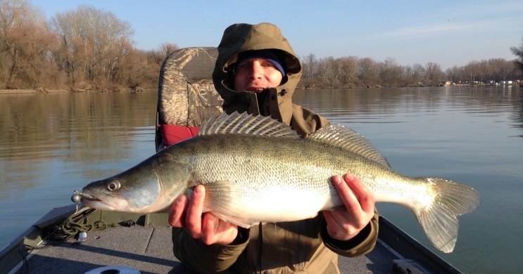 Csónakos horgászat a Tisza-tónál, csónakbérléssel a Szabics Kikötőben 2026