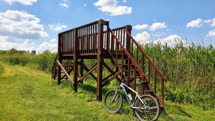 Kerékpárral a Fertő-tó körül