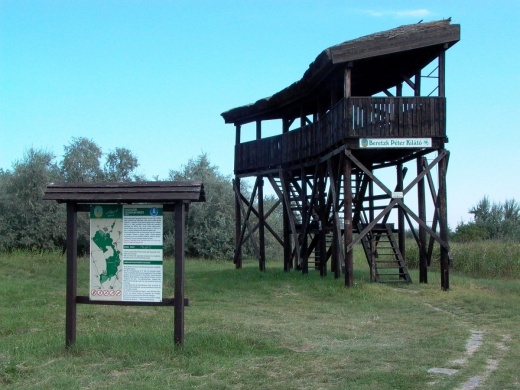 Szegedi Fehér-tó bemutatása, séta a Sirály tanösvényen