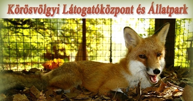 Éjszakai életmódot folytató állatok az Állatparkban