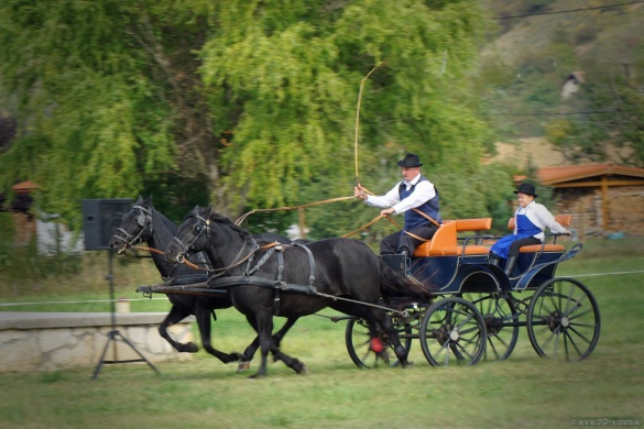 Héregi Lovasnapok. Baráti lovastalálkozó