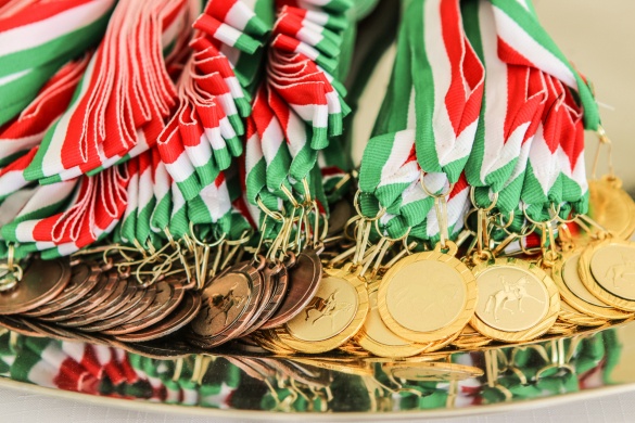 Nemzetközi és Nemzeti Díjlovas- és Lovasterápiás Verseny 2026 Fót