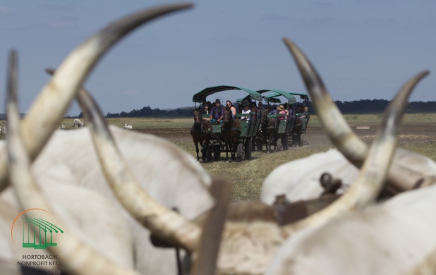 Hortobágyi pusztai fogatozás 2026