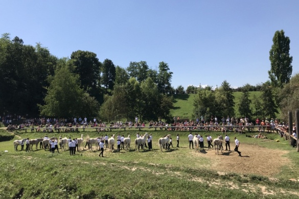 Kassai-völgy programok 2026. Nyílt napok, bajnokságok, események, rendezvények