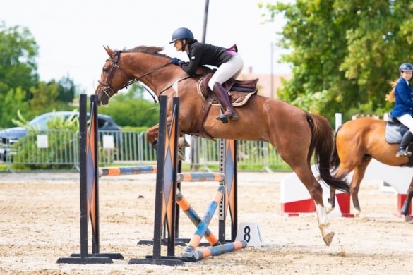 Hortobágyi lovas verseny 2025. Programok, események, rendezvények a Mátai Ménesben