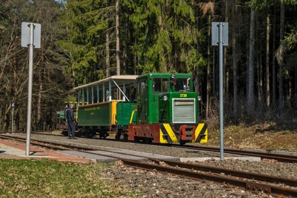 Nagybörzsönyi Erdei Vasút programok 2026