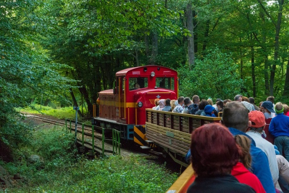 Felsőtárkány Erdei Vasút programok 2026