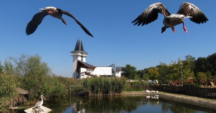 Poroszlói Ökopark látogatás a hét minden napján a Tisza-tónál