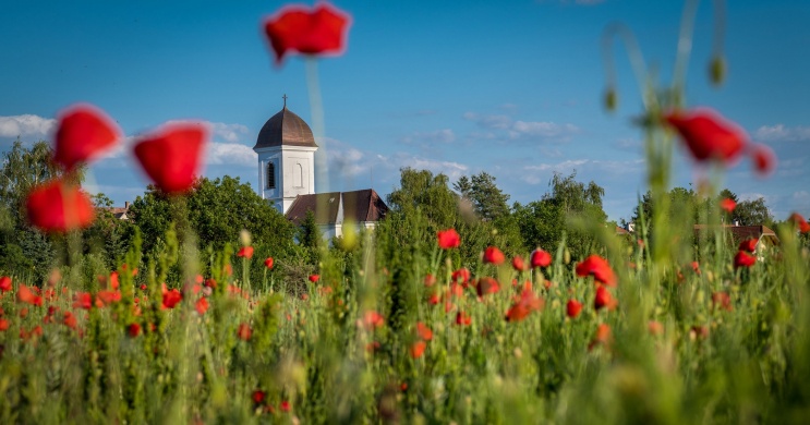 Szigetmonostori programok 2026 - Rendezvények, események