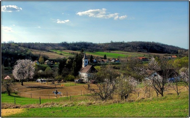 Nyim programok 2026 - Események, rendezvények