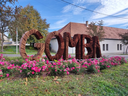 Gomba programok 2026 - Események, rendezvények