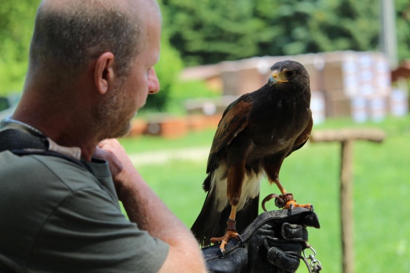Bemutatók 2026 - Bemutató programok országszerte