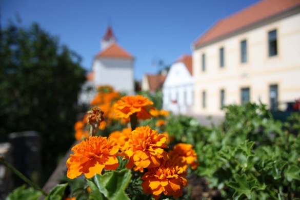 Balatonarácsi programok 2026