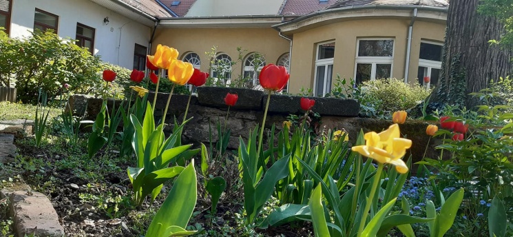 Civil Közösségek Háza Pécs programok 2026