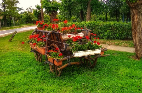 Mesterszállási programok 2026 - Események, rendezvények