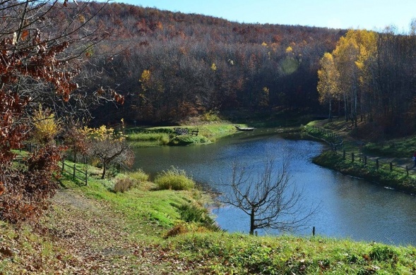 Tolna vármegyei programok 2026