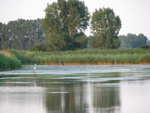 Biharugrai programok 2026 - A Bihari Madárvárta eseményei