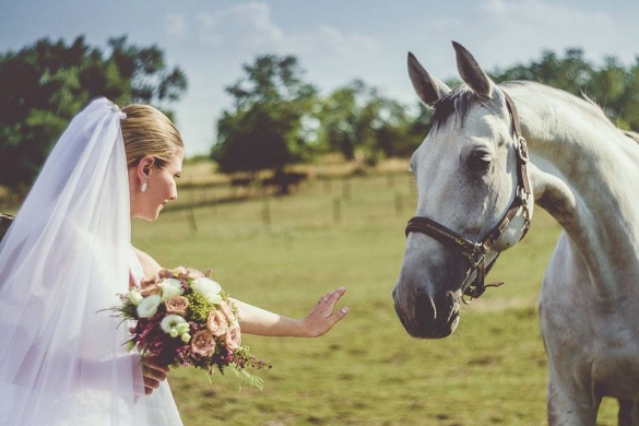Lakodalom, polgári szertartás, esküvőszervezés Móron a Hétkúti Wellness Hotelben