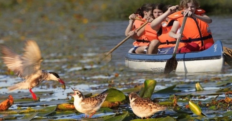 Egynapos családi kirándulás a Tisza-tóhoz 2026 Tisza-tavi Ökocentrum