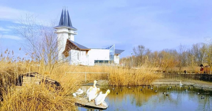 2 napos osztálykirándulás a Tisza-tóhoz 2026-ban - a poroszlói Tisza-tavi Ökocentrum szervezésében