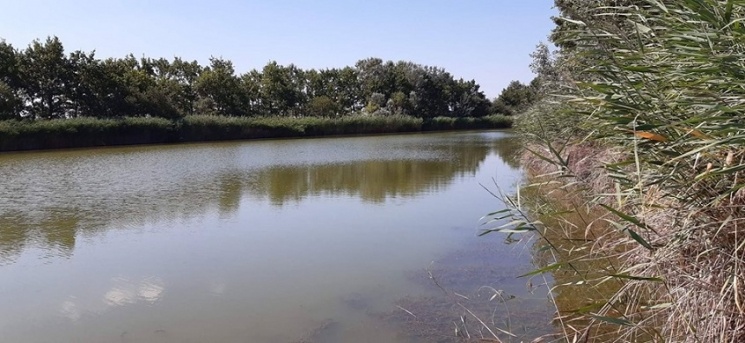 Szelidi-tó futás és tó átúszás 2026 Dunapataj