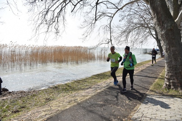 MaratonFüred 2026  Badacsonytomajtól Balatonfüredig